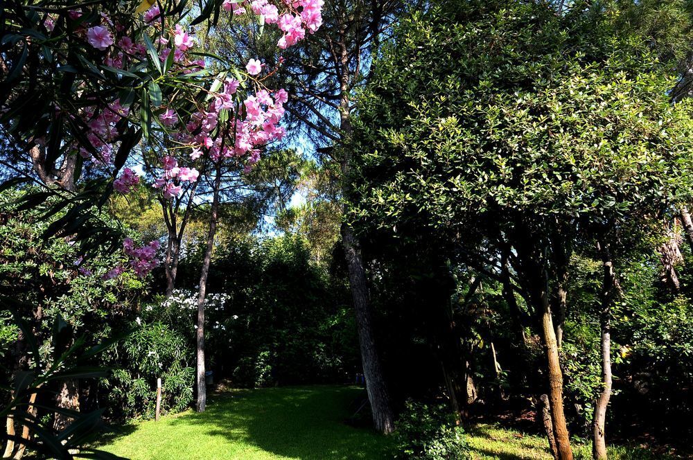 Punta Molino Beach Resort & Spa Ischia Zewnętrze zdjęcie